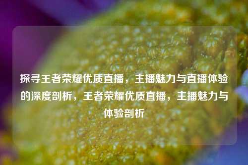 探寻王者荣耀优质直播,主播魅力与直播体验的深度剖析,王者荣耀优质直播,主播魅力与体验剖析