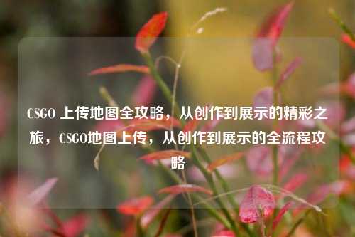 CSGO 上传地图全攻略,从创作到展示的精彩之旅,CSGO地图上传,从创作到展示的全流程攻略