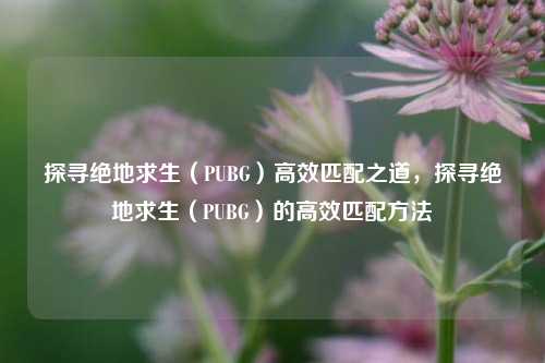 探寻绝地求生(PUBG)高效匹配之道,探寻绝地求生(PUBG)的高效匹配方法