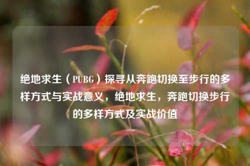 绝地求生(PUBG)探寻从奔跑切换至步行的多样方式与实战意义,绝地求生,奔跑切换步行的多样方式及实战价值