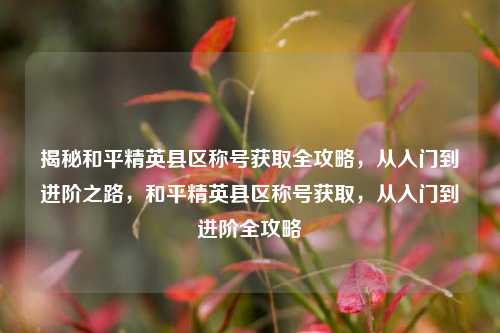 揭秘和平精英县区称号获取全攻略，从入门到进阶之路，和平精英县区称号获取，从入门到进阶全攻略