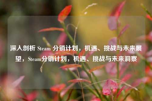 深入剖析 Steam 分销计划,机遇、挑战与未来展望,Steam分销计划,机遇、挑战与未来洞察