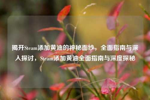 揭开Steam添加黄油的神秘面纱,全面指南与深入探讨,Steam添加黄油全面指南与深度探秘