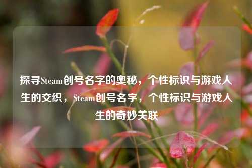 探寻Steam创号名字的奥秘，个性标识与游戏人生的交织，Steam创号名字，个性标识与游戏人生的奇妙关联