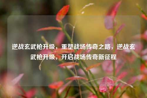 逆战玄武枪升级,重塑战场传奇之路,逆战玄武枪升级,开启战场传奇新征程