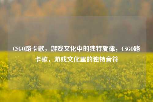CSGO路卡歌,游戏文化中的独特旋律,CSGO路卡歌,游戏文化里的独特音符