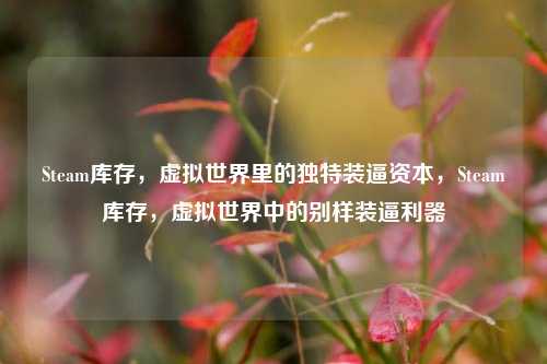 Steam库存,虚拟世界里的独特装逼资本,Steam库存,虚拟世界中的别样装逼利器