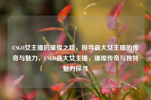 CSGO女主播的璀璨之路，探寻最大女主播的传奇与魅力，CSGO最大女主播，璀璨传奇与独特魅力探寻