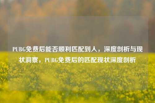 PUBG免费后能否顺利匹配到人,深度剖析与现状洞察,PUBG免费后的匹配现状深度剖析
