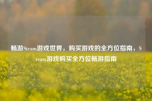 畅游Steam游戏世界，购买游戏的全方位指南，Steam游戏购买全方位畅游指南