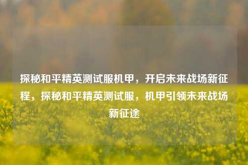探秘和平精英测试服机甲，开启未来战场新征程，探秘和平精英测试服，机甲引领未来战场新征途