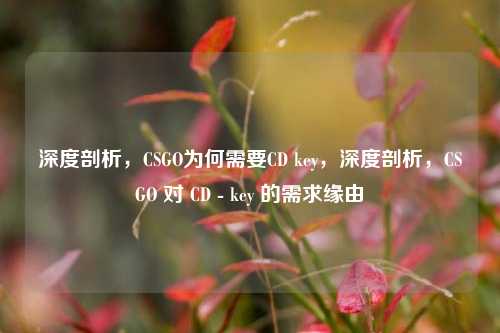深度剖析，CSGO为何需要CD key，深度剖析，CSGO 对 CD - key 的需求缘由