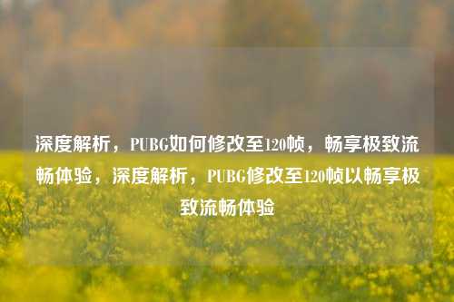深度解析，PUBG如何修改至120帧，畅享极致流畅体验，深度解析，PUBG修改至120帧以畅享极致流畅体验