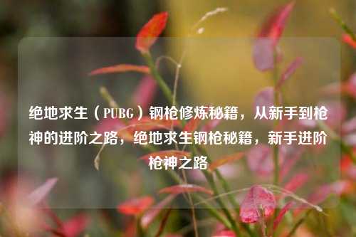 绝地求生(PUBG)钢枪修炼秘籍,从新手到枪神的进阶之路,绝地求生钢枪秘籍,新手进阶枪神之路