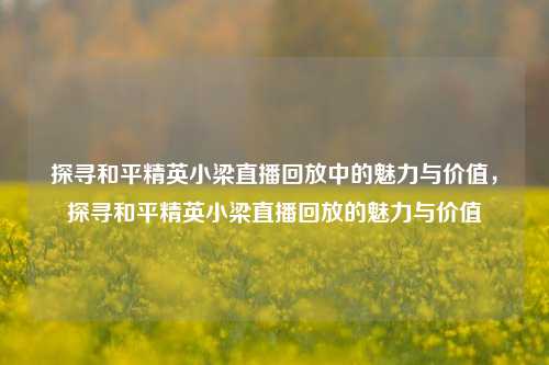 探寻和平精英小梁直播回放中的魅力与价值,探寻和平精英小梁直播回放的魅力与价值
