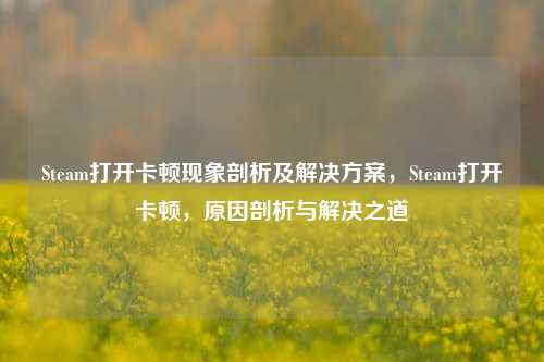 Steam打开卡顿现象剖析及解决方案,Steam打开卡顿,原因剖析与解决之道