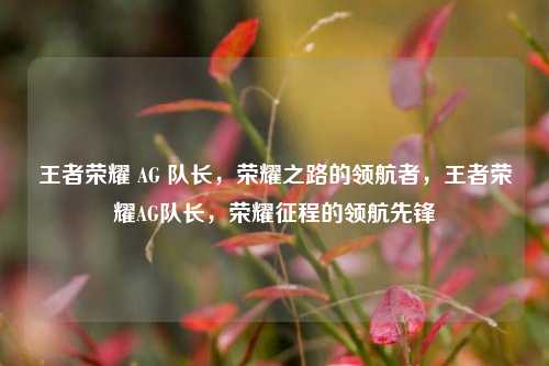 王者荣耀 AG 队长,荣耀之路的领航者,王者荣耀AG队长,荣耀征程的领航先锋