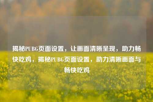 揭秘PUBG页面设置,让画面清晰呈现,助力畅快吃鸡,揭秘PUBG页面设置,助力清晰画面与畅快吃鸡