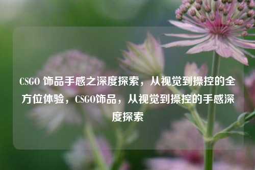 CSGO 饰品手感之深度探索,从视觉到操控的全方位体验,CSGO饰品,从视觉到操控的手感深度探索