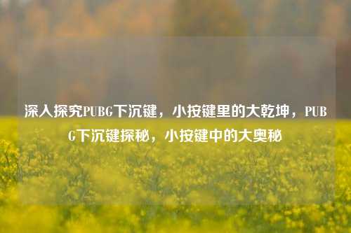 深入探究PUBG下沉键,小按键里的大乾坤,PUBG下沉键探秘,小按键中的大奥秘