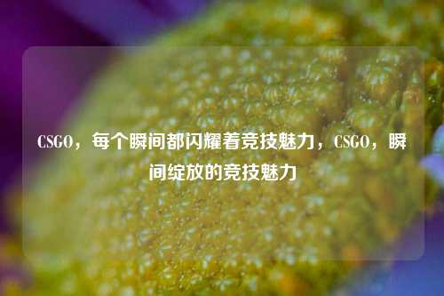 CSGO，每个瞬间都闪耀着竞技魅力，CSGO，瞬间绽放的竞技魅力