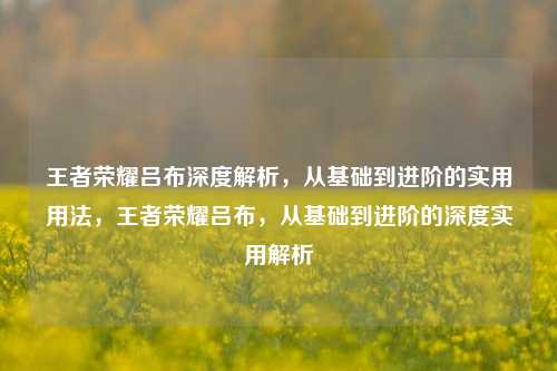 王者荣耀吕布深度解析，从基础到进阶的实用用法，王者荣耀吕布，从基础到进阶的深度实用解析
