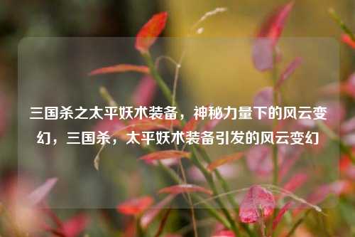 三国杀之太平妖术装备，神秘力量下的风云变幻，三国杀，太平妖术装备引发的风云变幻