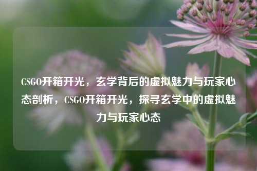 CSGO开箱开光,玄学背后的虚拟魅力与玩家心态剖析,CSGO开箱开光,探寻玄学中的虚拟魅力与玩家心态