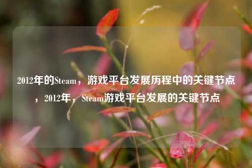 2012年的Steam，游戏平台发展历程中的关键节点，2012年，Steam游戏平台发展的关键节点