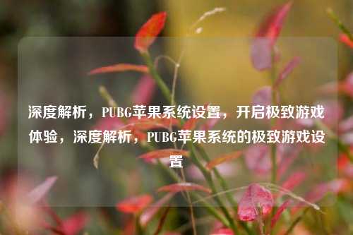 深度解析，PUBG苹果系统设置，开启极致游戏体验，深度解析，PUBG苹果系统的极致游戏设置