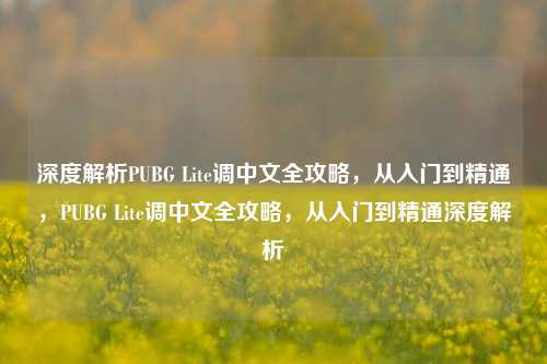深度解析PUBG Lite调中文全攻略，从入门到精通，PUBG Lite调中文全攻略，从入门到精通深度解析