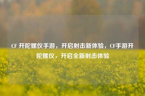 CF 开陀螺仪手游，开启射击新体验，CF手游开陀螺仪，开启全新射击体验