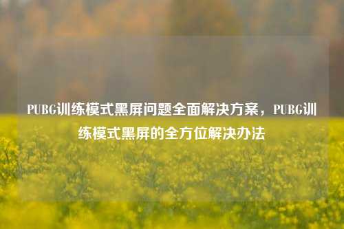 PUBG训练模式黑屏问题全面解决方案，PUBG训练模式黑屏的全方位解决办法