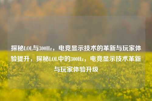 探秘LOL与300Hz，电竞显示技术的革新与玩家体验提升，探秘LOL中的300Hz，电竞显示技术革新与玩家体验升级