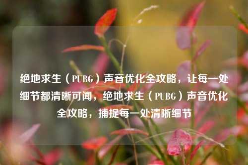 绝地求生（PUBG）声音优化全攻略，让每一处细节都清晰可闻，绝地求生（PUBG）声音优化全攻略，捕捉每一处清晰细节