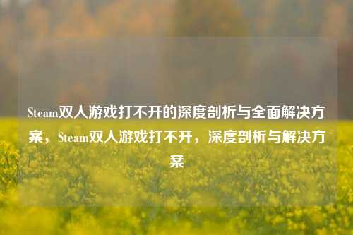 Steam双人游戏打不开的深度剖析与全面解决方案,Steam双人游戏打不开,深度剖析与解决方案