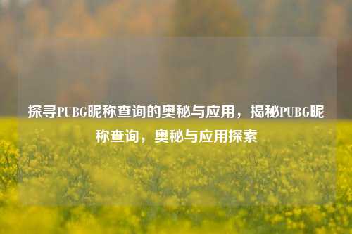 探寻PUBG昵称查询的奥秘与应用，揭秘PUBG昵称查询，奥秘与应用探索