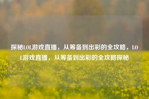 探秘LOL游戏直播，从筹备到出彩的全攻略，LOL游戏直播，从筹备到出彩的全攻略探秘