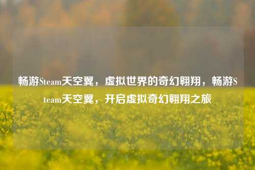 畅游Steam天空翼，虚拟世界的奇幻翱翔，畅游Steam天空翼，开启虚拟奇幻翱翔之旅