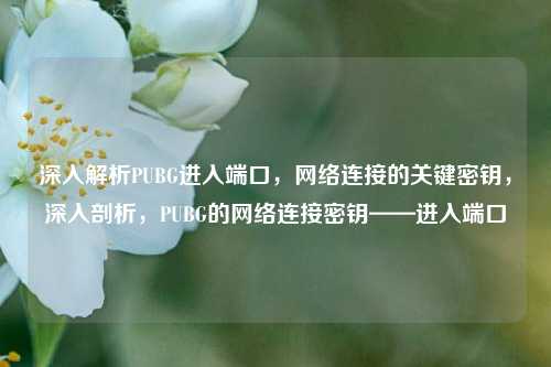 深入解析PUBG进入端口，网络连接的关键密钥，深入剖析，PUBG的网络连接密钥——进入端口