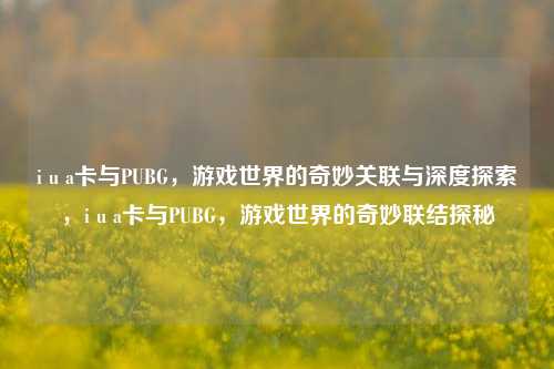i u a卡与PUBG，游戏世界的奇妙关联与深度探索，i u a卡与PUBG，游戏世界的奇妙联结探秘