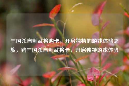 三国杀自制武将购卡，开启独特的游戏体验之旅，购三国杀自制武将卡，开启独特游戏体验