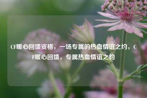 CF暖心回馈资格，一场专属的热血情谊之约，CF暖心回馈，专属热血情谊之约