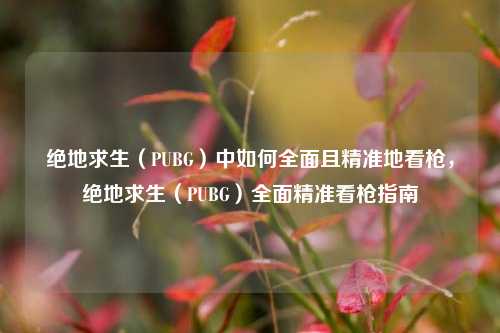 绝地求生（PUBG）中如何全面且精准地看枪，绝地求生（PUBG）全面精准看枪指南