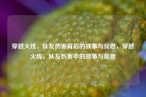 穿越火线，队友伤害背后的故事与反思，穿越火线，队友伤害中的故事与反思