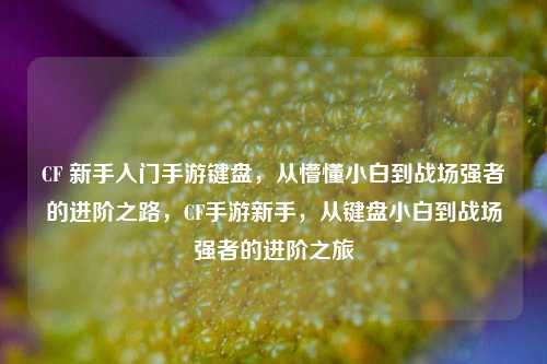 CF 新手入门手游键盘，从懵懂小白到战场强者的进阶之路，CF手游新手，从键盘小白到战场强者的进阶之旅