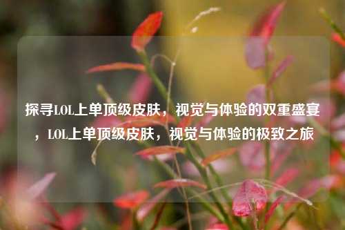 探寻LOL上单顶级皮肤,视觉与体验的双重盛宴,LOL上单顶级皮肤,视觉与体验的极致之旅