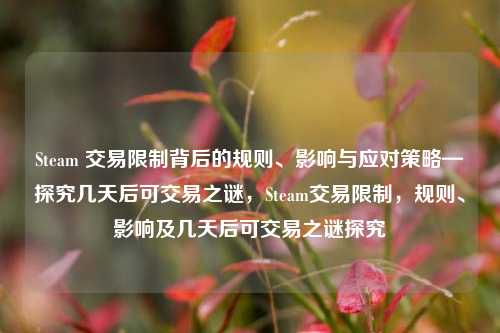 Steam 交易限制背后的规则、影响与应对策略—探究几天后可交易之谜,Steam交易限制,规则、影响及几天后可交易之谜探究