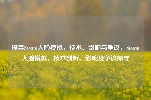 探寻Steam人脸模拟,技术、影响与争议,Steam人脸模拟,技术剖析、影响及争议探寻