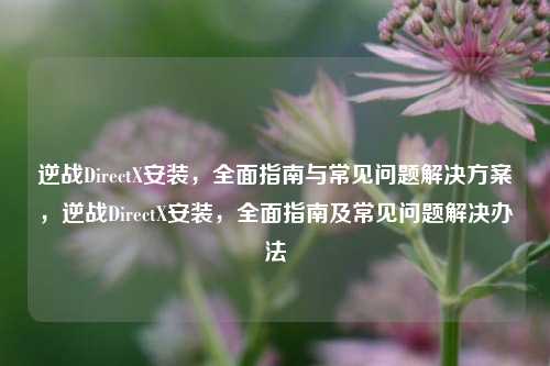 逆战DirectX安装,全面指南与常见问题解决方案,逆战DirectX安装,全面指南及常见问题解决办法